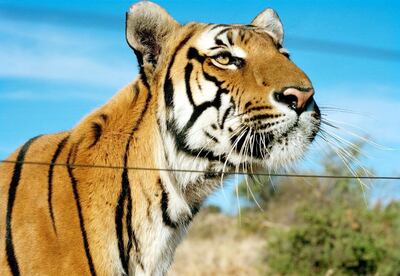 /pf/resources/images/abc-placeholder.png?d=2429