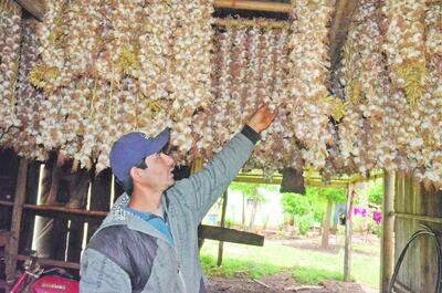 /pf/resources/images/abc-placeholder.png?d=2420