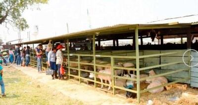 /pf/resources/images/abc-placeholder.png?d=2393