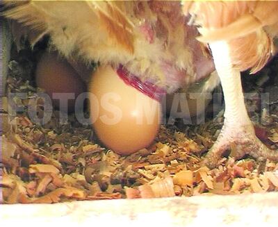 /pf/resources/images/abc-placeholder.png?d=2428