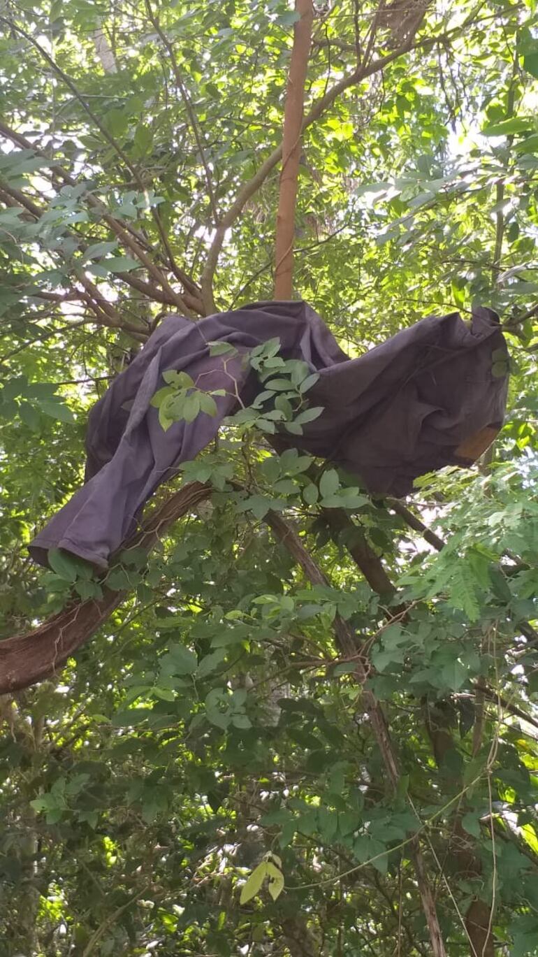 Prendas de las que se habría desecho el presunto asesino.