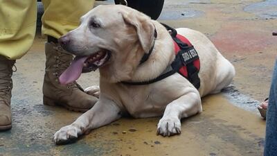 /pf/resources/images/abc-placeholder.png?d=2398