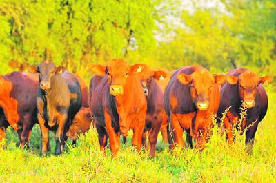 /pf/resources/images/abc-placeholder.png?d=2394