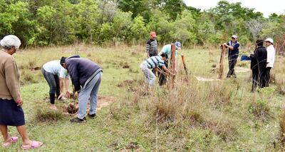 Los pobladores de las  compañías Coronel Martínez de Caacupé e Itaybú de Piribebuy realizaron   una manifestación en defensa de la franja protegida y luego sacaron la alambrada colocada ilegalmente, según dicen, por Óscar Portillo Martínez.
