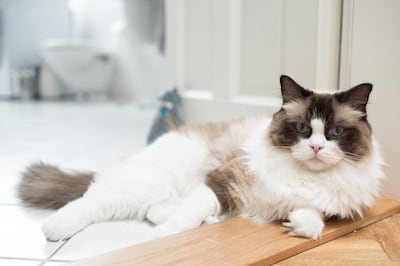 /pf/resources/images/abc-placeholder.png?d=2420