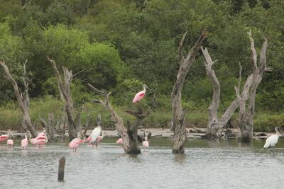 /pf/resources/images/abc-placeholder.png?d=2433