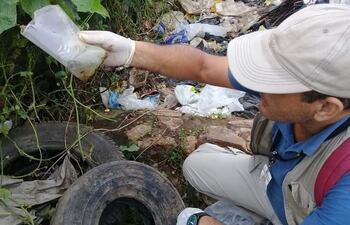Las autoridades insisten en la limpieza como medida de prevención del dengue.