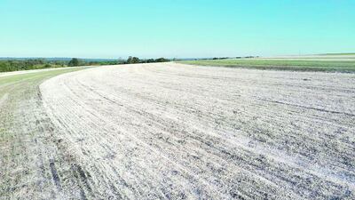 /pf/resources/images/abc-placeholder.png?d=2395