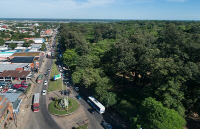 Zona conflictiva del Jardín Botanico