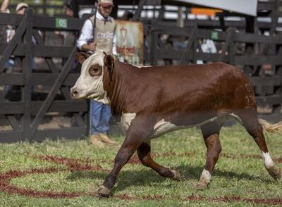 /pf/resources/images/abc-placeholder.png?d=2394