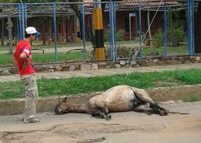 /pf/resources/images/abc-placeholder.png?d=2393