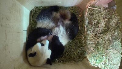 Imagen sin descripción