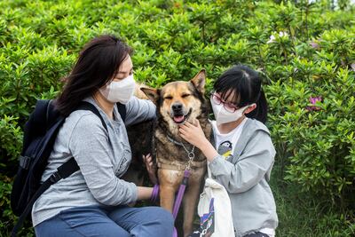 Amy Tran y su hija Serene Ho miman a su nuevo perro Pepper en el parque Kai Tak en Hong Kong.