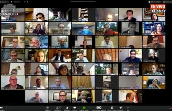 Sesión virtual del Senado.
