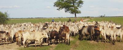 /pf/resources/images/abc-placeholder.png?d=2425