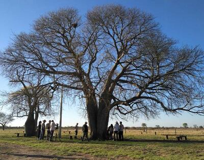 /pf/resources/images/abc-placeholder.png?d=2398