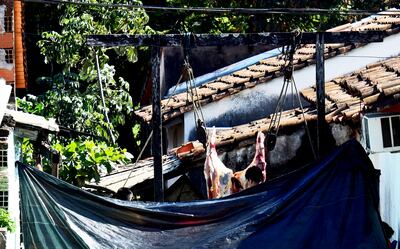 A plena luz del día y sobre una ruta principal, en una vivienda realizan una faena clandestina por demás insalubre, en el barrio Arecayá.