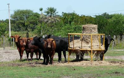 /pf/resources/images/abc-placeholder.png?d=2429