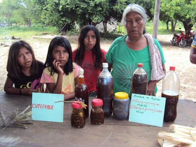 Imagen sin descripción