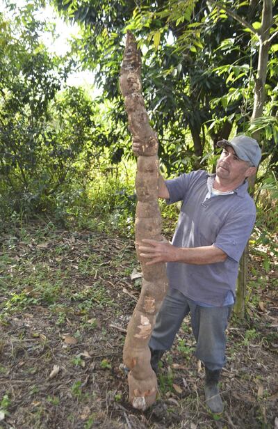 /pf/resources/images/abc-placeholder.png?d=2394