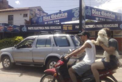 Imagen sin descripción