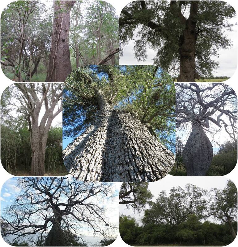 /pf/resources/images/abc-placeholder.png?d=2410