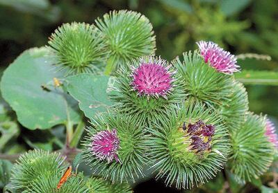 Imagen sin descripción