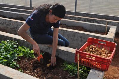 Imagen sin descripción