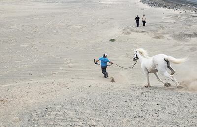 /pf/resources/images/abc-placeholder.png?d=2393