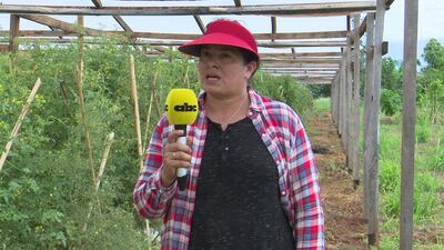 /pf/resources/images/abc-placeholder.png?d=2429