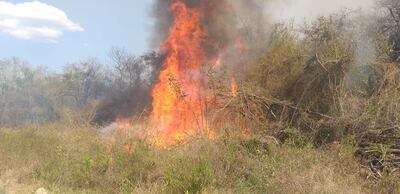 Arden dos predios en Chaco'i.