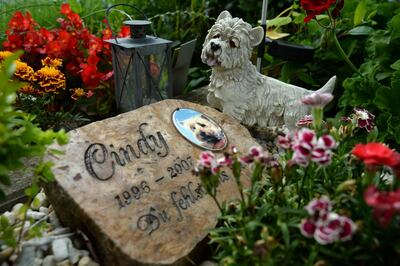 /pf/resources/images/abc-placeholder.png?d=2428