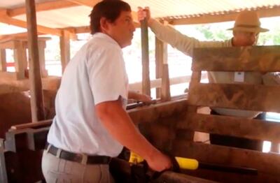 El pesaje  electrónico sin  dudas, tiene importantes ventajas para el ganadero.