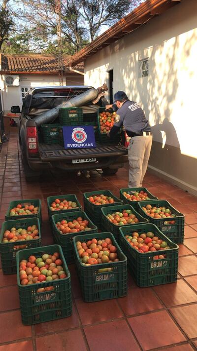 Se incautó 17 cajas de tomates de producción brasileña.
