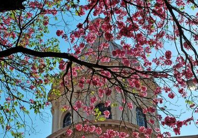 /pf/resources/images/abc-placeholder.png?d=2397