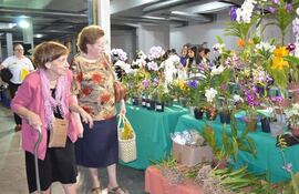 expo-flora-2016-95430000000-1502749.jpg