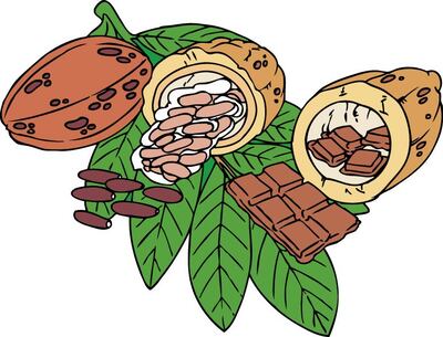 Imagen sin descripción