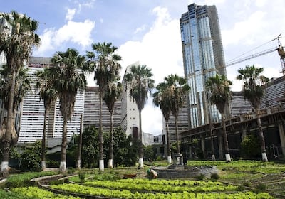 Imagen sin descripción