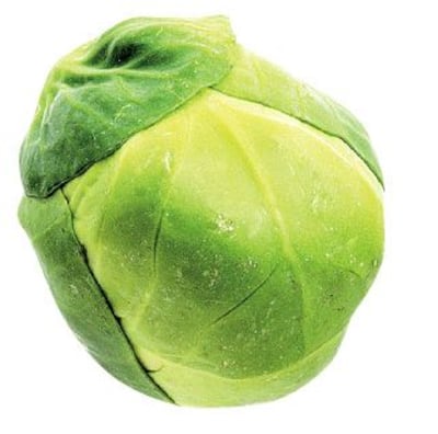 Imagen sin descripción