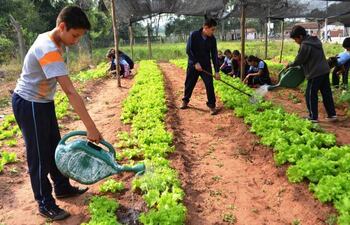 alcances-de-las-huertas-en-escuelas-y-colegios-83044000000-1841532.jpg