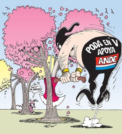 /pf/resources/images/abc-placeholder.png?d=2420