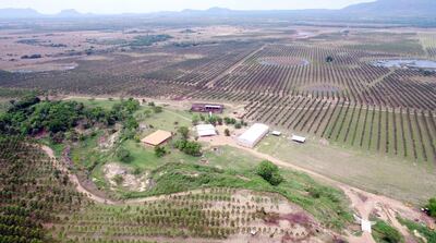 /pf/resources/images/abc-placeholder.png?d=2428