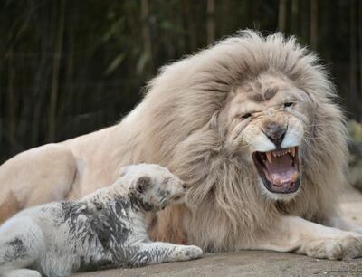 /pf/resources/images/abc-placeholder.png?d=2393