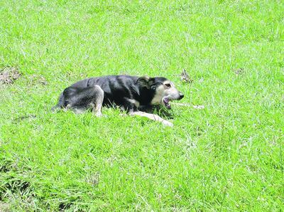 /pf/resources/images/abc-placeholder.png?d=2395