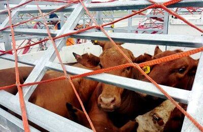 /pf/resources/images/abc-placeholder.png?d=2395