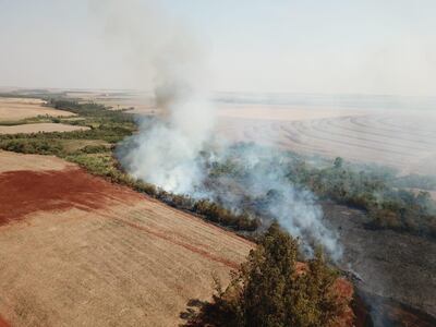 Bomberos intentan sofocar el  fuego que se propaga rápidamente por un trigal.
