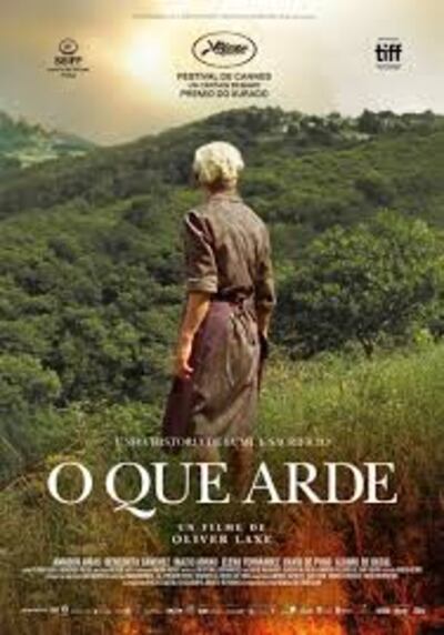 Afiche de la película "O que arde".