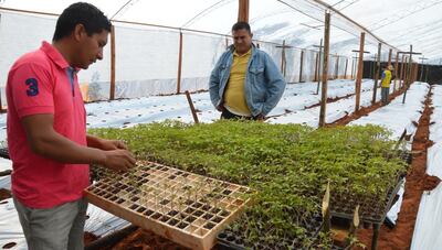 /pf/resources/images/abc-placeholder.png?d=2433