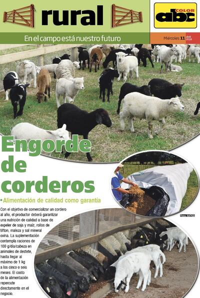 /pf/resources/images/abc-placeholder.png?d=2420