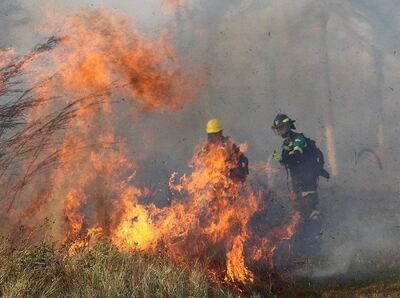 Los incendios forestales que deboran todo a su paso en Santa Cruz, Bolivia, amenazan con afectar también a territorio paraguayo.